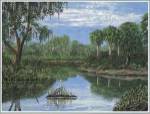 Florida Wetlands by Jack and Jackie