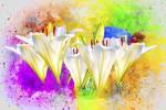 Flower Design 11MA by Ata Alishahi
