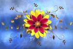 Flower Design 2 by Ata Alishahi