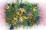 Flower Design 2 by Ata Alishahi