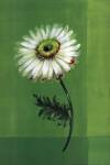 Flower on Green by Paul Hargittai