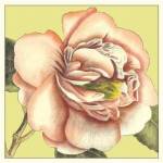 Flower Power I by Deborah Bookman