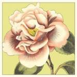 Flower Power III by Deborah Bookman