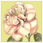 Flower Power IV by Deborah Bookman