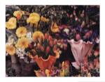 Flowers, Florence by Zeny Cieslikowski