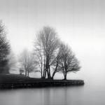 Fog and Trees at Dusk by Lsh