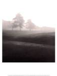 Fog Tree Study II by Jamie Cook