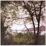 Folchi - Lakeside Trees I by John Folchi