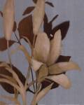 Foliage on Teal I by Lanie Loreth