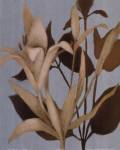 Foliage on Teal II by Lanie Loreth