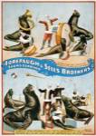 Forepaugh & Sells Brothers