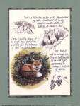 Fox Study by Michelle Mara