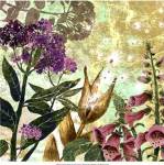 Foxglove Meadow II by R. Collier-Morales