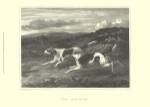 Foxhounds by John Scott