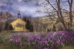 Fragrant Field by Lori Deiter