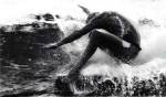 Frank Latta Cronulla by Australian Coastal Collection