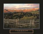 Freedom - Explore the Wonders of Nature by Kathleen Norris Cook