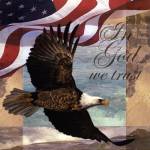 Freedom I by Todd Williams