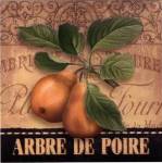 French Pears by Abby White