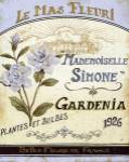French Seed Packet IV by Daphné Brissonnét
