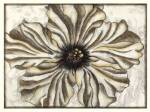 Fresco Flowerhead I by Nancy Slocum