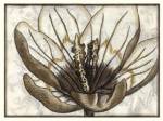 Fresco Flowerhead IV by Nancy Slocum