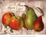 Fresco Fruit X by Kate ward Thacker