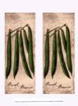 Fresco Veggies XIII by Kate ward Thacker