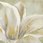 Fresh Bloom I by Edward Selkirk