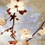 Fresh Blossoms 1 by A.F. Duealberi