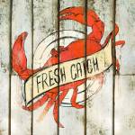 Fresh Catch Square by SD Graphics Studio