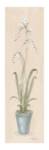 Fresh Freesia by Peggy Abrams