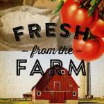 Fresh From The Farm by Dallas Drotz