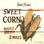 Fresh Picked Sweet Corn by David Carter Brown