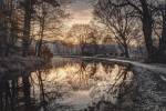 Frosty Morning by Assaf Frank