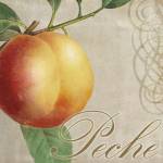 Fruits Classique I by Color Bakery