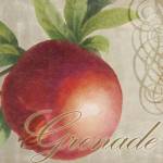 Fruits Classique II by Color Bakery