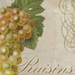 Fruits Classique VI by Color Bakery
