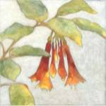 Fuchsia Blooms I by Megan Meagher