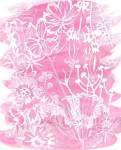 Fuchsia Bouquet I by Chariklia Zarris