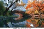 Gapstow Bridge, Fall by Michael Chen