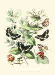 Garden Butterflies I by Vision Studios