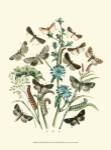 Garden Butterflies II by Vision Studios