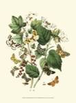 Garden Butterflies IV by Vision Studios