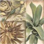 Garden Glimpses I by Megan Meagher