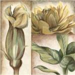 Garden Glimpses II by Megan Meagher
