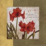 Garden Inspiration IV by Tim Coffey