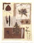 Garden Notes I by Carol Robinson