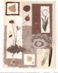 Garden Notes II by Carol Robinson
