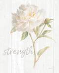 Garden Peony on Wood Strength by Danhui Nai